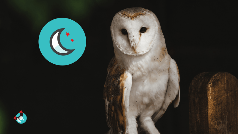 Night Vision Security Camera FAQs