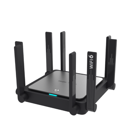 Ruijie Routers